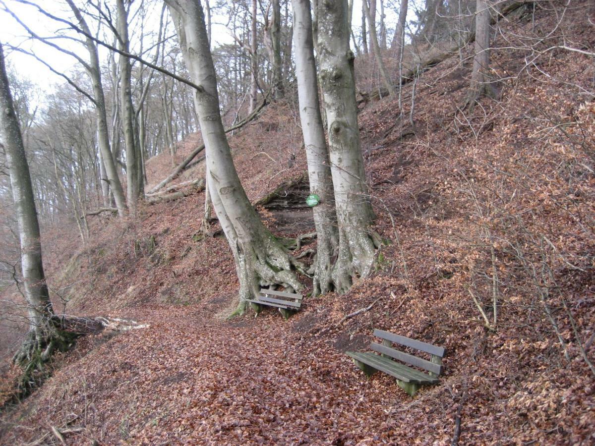 Ferienwohnung In Der Vulkaneifel Ulmen Ngoại thất bức ảnh